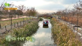 부안 줄포만 노을빛 정원>커뮤니티 > 부안 줄포만 노을빛 정원 상세 페이지