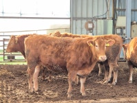 소통/참여 > 생동하는 부안 > 언론보도 상세 페이지