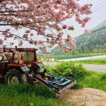 포토갤러리 | 부안군 변산면