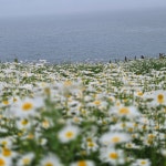 부안변산마실길