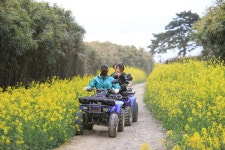 부안사랑인 가맹점 > 가맹점 현황 > 문화·관광·레저 | 부안사랑인