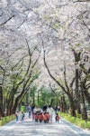 지난호보기 상세 | 복사골부천 | 부천뉴스 | 부천소식 | 부천시청 지난호보기 | 복사골부천 | 부천뉴스 | 부천소식 | 부천시청
