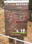 새소식 | 새소식 | 시정소식 | 부천시청