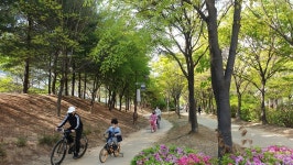 복사골부천 상세 | 부천뉴스 | 부천소식 | 부천시청 복사골부천 | 부천뉴스 | 부천소식 | 부천시청