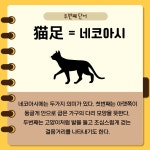 일본어 어디까지 알고있니?_ 고양이 부산외국어대학교