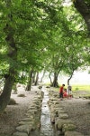 [숲과 나무를 찾아서] <30> 김해 신월리 용전마을 숲 - 부산일보 [숲과 나무를 찾아서] <30> 김해 신월리 용전마을 숲