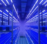 동구 산복도로 수직형 농장 개소 - 부산일보 동구 산복도로 수직형 농장 개소