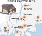 [멧돼지, 어디서 출몰하나] 금정산·백양산 등산로 `주의보` - 부산일보 [멧돼지, 어디서 출몰하나] 금정산·백양산 등산로 주의보