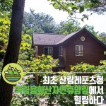 국립자연휴양림, 벌써 홈페이지 마비…`뜨거운 예약열기` - 부산일보 국립자연휴양림, 벌써 홈페이지 마비…뜨거운 예약열기