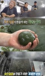 … 48년 전통 `이동福떡집` 위치는? - 부산일보 생활의 달인 은둔식달, 남해 쑥인절미 달인, 대박 비법은?… 48년 전통 이동福떡집 위치는?