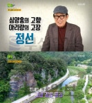 `2TV 생생정보` 심양홍 고향, 정선 나리소전망대-아리랑시장-함백산... 심양홍 고향, 정선 나리소전망대-아리랑시장-함백산 만항재-동강할미꽃