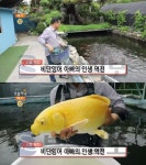 이서면 물고기마을…시골부자 - 부산일보 생방송 오늘 저녁 연매출 20억 비단잉어, 전북 완주군 이서면 물고기마을…시골부자