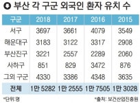 외국인 환자 1위 서구, 조례 만들어 ‘의료관광도시’ 박차 - 부산일보 외국인 환자 1위 서구, 조례 만들어 ‘의료관광도시’ 박차