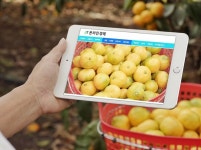 부산일보