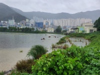 엄궁유수지 복합문화체육센터 ‘입지 논란’ - 부산일보 엄궁유수지 복합문화체육센터 ‘입지 논란’