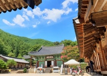 구례 천은사 “눈 감으면 저절로 들리는 세상, 입 다물면 저절로 보이는 나” - 부산일보 구례 천은사 “눈 감으면 저절로 들리는 세상, 입 다물면... 