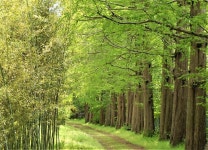 이럴 땐 이런 길! - 부산일보 이럴 땐 이런 길!