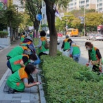 해운대구 좌1동 ‘어메니티 데이’ 실시 - 부산일보 해운대구 좌1동 ‘어메니티 데이’ 실시