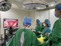 여성 생식기 건강 지키려면 산부인과와 친해지세요 - 부산일보 여성 생식기 건강 지키려면 산부인과와 친해지세요