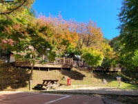 가야산 단풍 오는 30일 절정 - 부산일보 가야산 단풍 오는 30일 절정