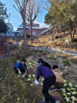 좌천동 마을 가꿈단 `좌천체육공원 환경정비` 실시 - 부산일보 좌천동 마을 가꿈단 좌천체육공원 환경정비 실시