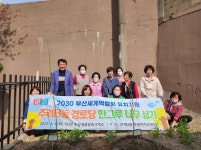사상구 주례3동, 2030 부산세계박람회 유치기원 경로당 한그루 나무심기 행사 - 부산일보 사상구 주례3동, 2030 부산세계박람회 유치기원... 
