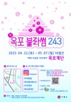 꽃피어라 옥포, 옥포블라썸 243 - 부산일보 꽃피어라 옥포, 옥포블라썸 243