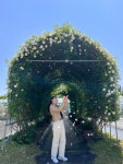 거제시농업개발원에 왕찔레나무 꽃이 활짝 피었어요! - 부산일보 거제시농업개발원에 왕찔레나무 꽃이 활짝 피었어요!