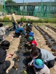 안락2동 주민자치회, 도심 속 도시농부의 텃밭 농작물 수확·나눔 - 부산일보 안락2동 주민자치회, 도심 속 도시농부의 텃밭 농작물 수확·나눔