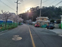 부산일보