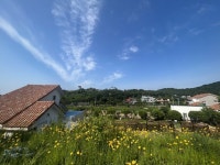 ‘32가구’ 김해 고령마을서 47건 고발전···도대체 무슨 일이? - 부산일보 ‘32가구’ 김해 고령마을서 47건 고발전···도대체 무슨 일이?