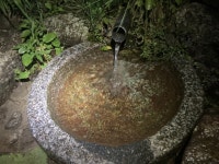 부산일보