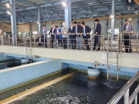 민주당 부산시당 “수돗물 냄새 사태, 근본 대책 마련해야”…화명 정수장 현장 방문 - 부산일보 민주당 부산시당 “수돗물 냄새 사태, 근본 대책... 