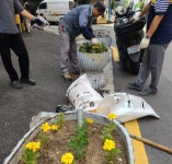 쾌적하고 깨끗한 부전시장 조성을 위한 여름초화 식재 - 부산일보 쾌적하고 깨끗한 부전시장 조성을 위한 여름초화 식재