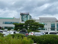 “임산부에 친환경 농산물 지원합니다!” - 부산일보 “임산부에 친환경 농산물 지원합니다!”