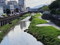사상구, 학장천 안전사고 예방 종합대책 추진 - 부산일보 사상구, 학장천 안전사고 예방 종합대책 추진
