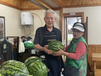 당리동 새마을부녀회, 이웃사랑으로 이어온 사)한국불교자원봉사회 무료급식소에 수박 전달 - 부산일보 당리동 새마을부녀회, 이웃사랑으로... 
