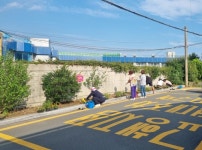 수정5동, 가을 초화 식재 및 환경 정비 실시 - 부산일보 수정5동, 가을 초화 식재 및 환경 정비 실시