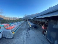 창원시, 양봉 농가 경쟁력 높인다 - 부산일보 창원시, 양봉 농가 경쟁력 높인다