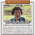 부산일보