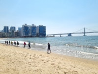 4000명으로 문호 넓힌 광안리 어싱 챌린지, 온라인으로 신청하세요 - 부산일보 4000명으로 문호 넓힌 광안리 어싱 챌린지, 온라인으로 신청하세요