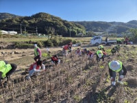 부산일보