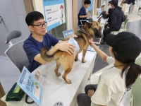 부산일보