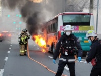 부산일보