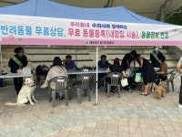 부산일보