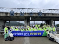 부산일보