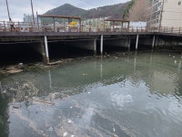 사하구 괴정천 생태하천 복원, 7년 만에 삽 뜬다 - 부산일보 사하구 괴정천 생태하천 복원, 7년 만에 삽 뜬다