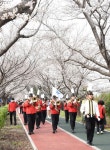 사상구, ‘낙동강정원 벚꽃축제’ 개막… “삼락의 봄, 설렘으로 물든다” - 부산일보 사상구, ‘낙동강정원 벚꽃축제’ 개막… “삼락의 봄... 