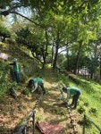 동구 좌천동 새마을부녀회, 좌천체육공원 화단 환경정비 - 부산일보 동구 좌천동 새마을부녀회, 좌천체육공원 화단 환경정비