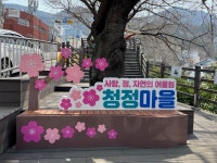 개금2동 벚꽃데크길, 개금2동 슬로건 글자조형물 설치 : 부산소개 : 주민자치회 : 활동사진첩 : 부산광역시 개금2동 벚꽃데크길, 개금2동... 
